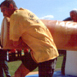 knockout18.jpg